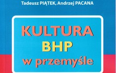 Kultura BHP w przemyśle.  