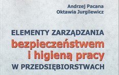 Elementy zarządzania bezpieczeństwem i higieną pracy w przedsiębiorstwach. 