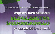Aspekty doskonalenia bezpieczeństwa środowiskowego w przedsiębiorstwie.  